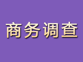 黄陂商务调查